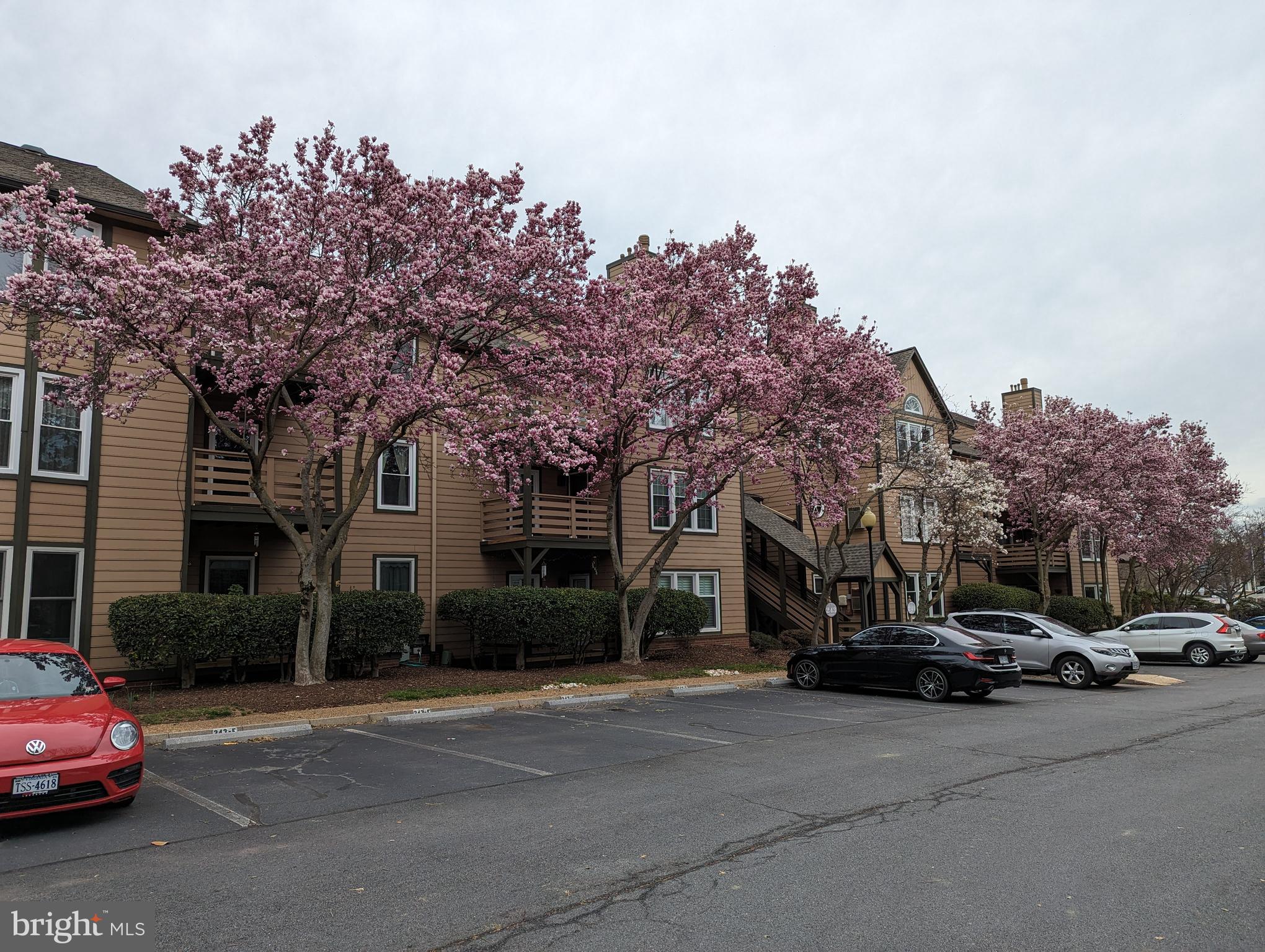 243 Loudoun St #I