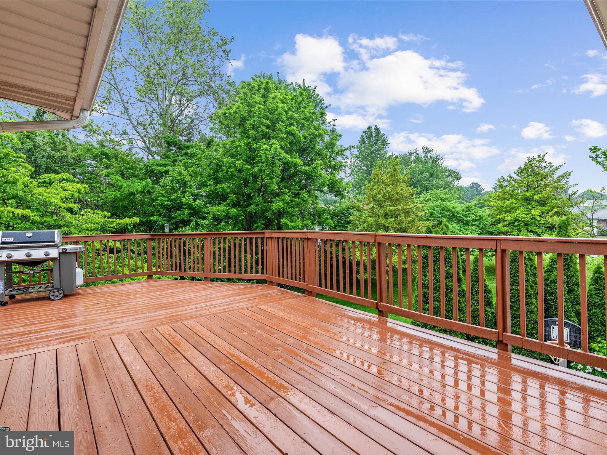 100 Peach Tree Ct