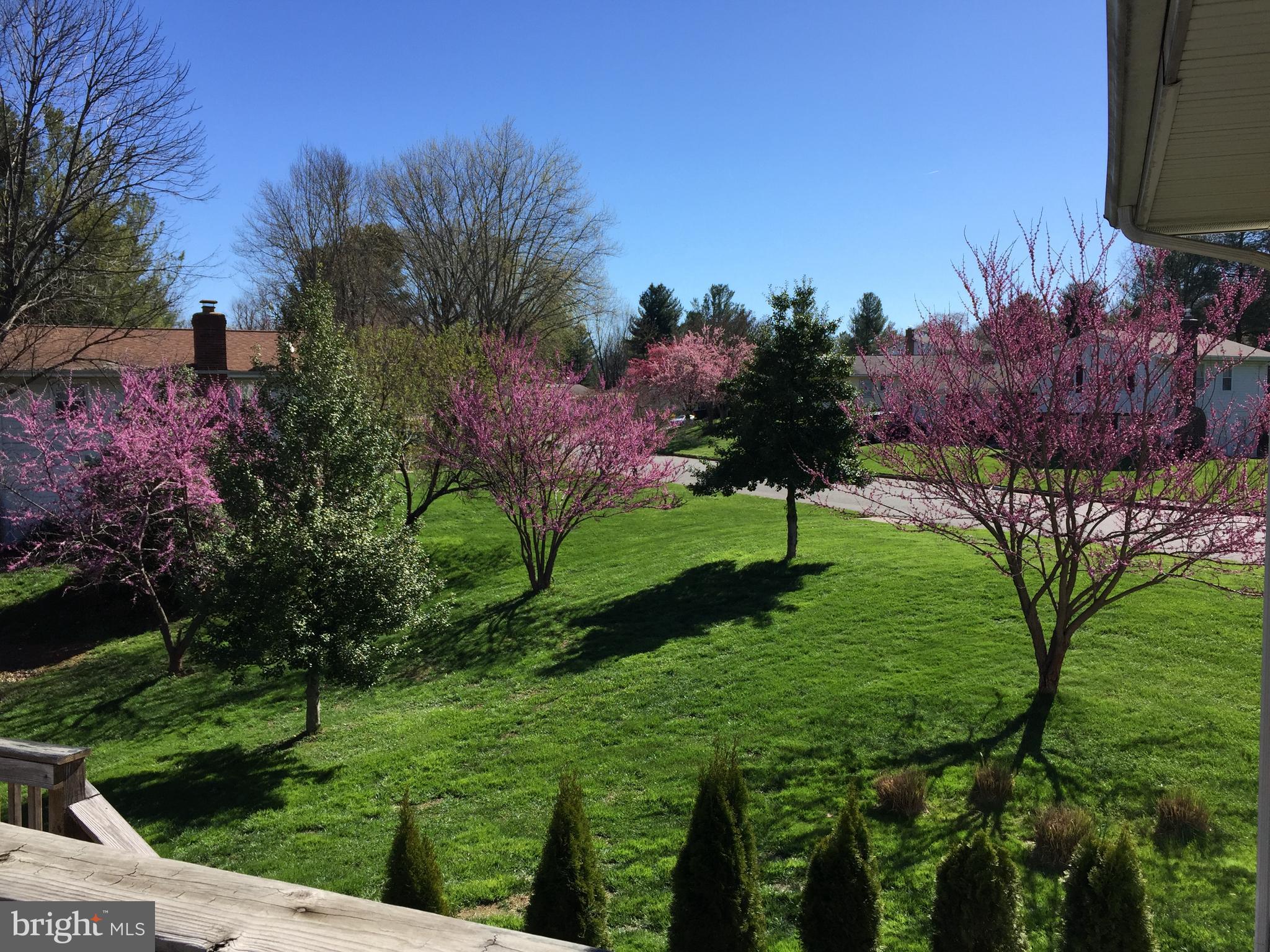 100 Peach Tree Ct