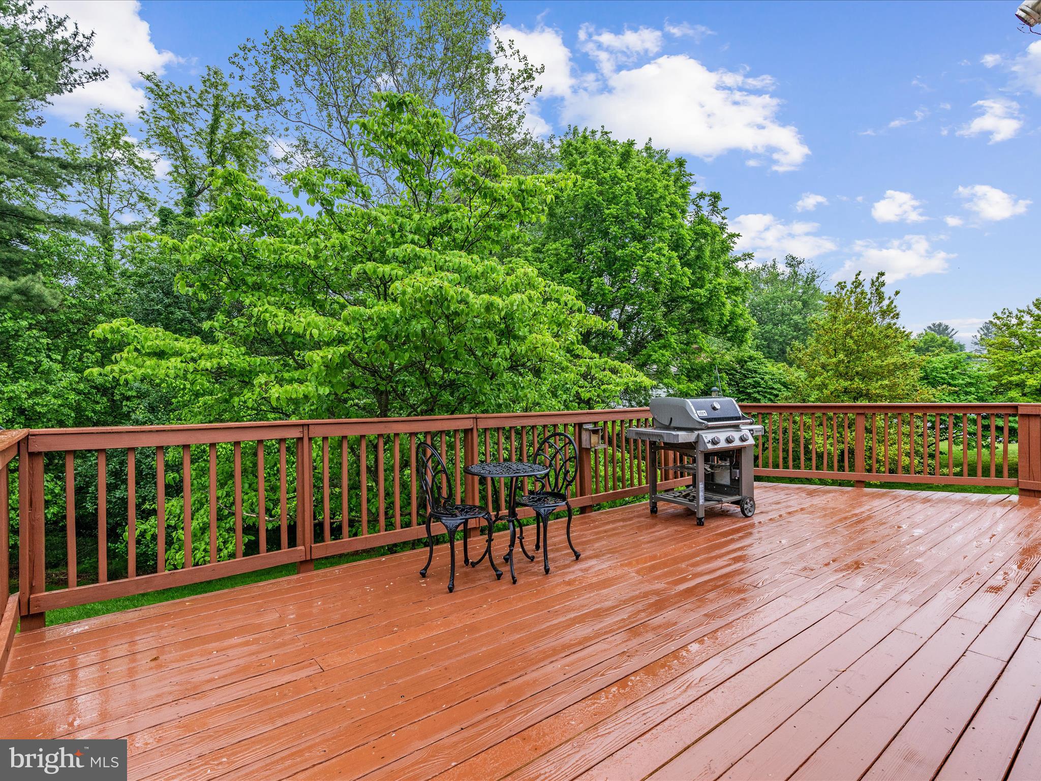 100 Peach Tree Ct