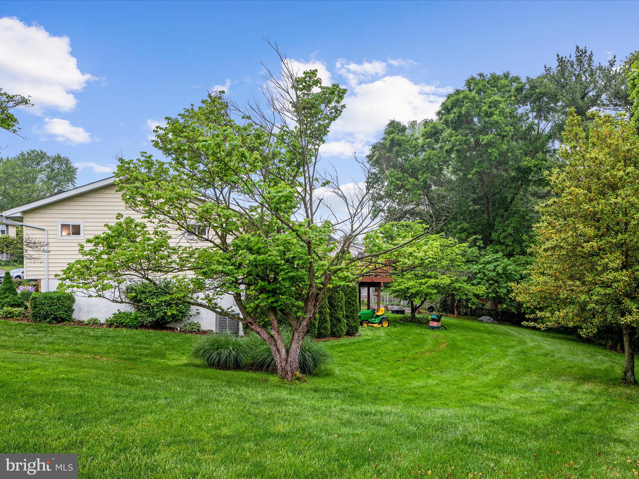 100 Peach Tree Ct