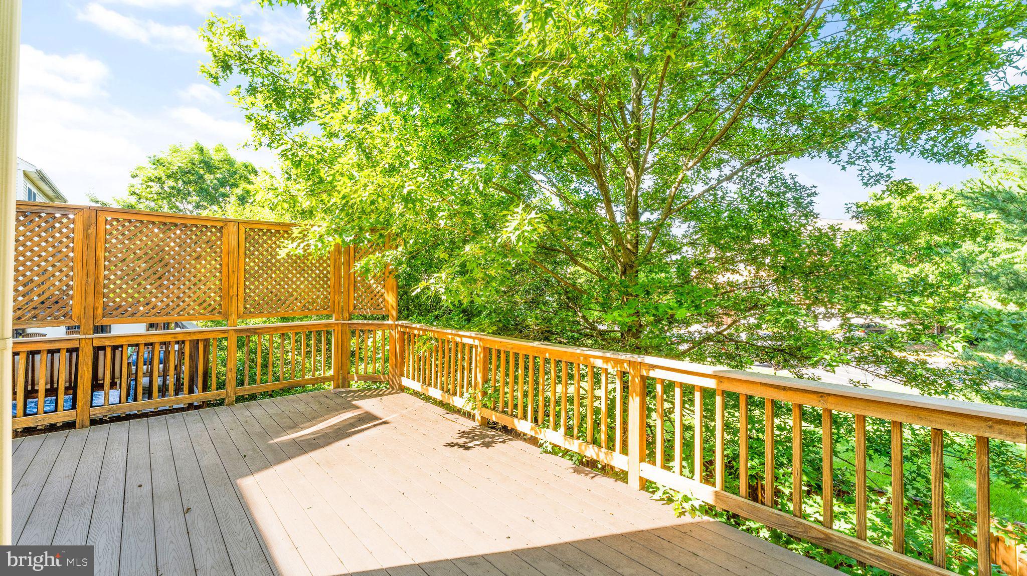 219 Grassy Ridge Ter