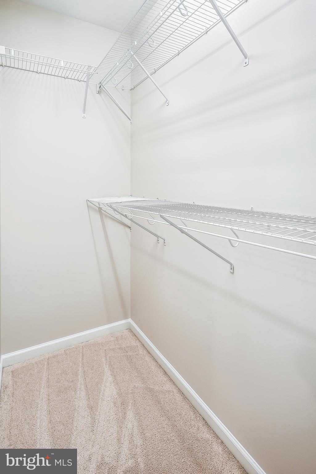 20602 Maitland Ter