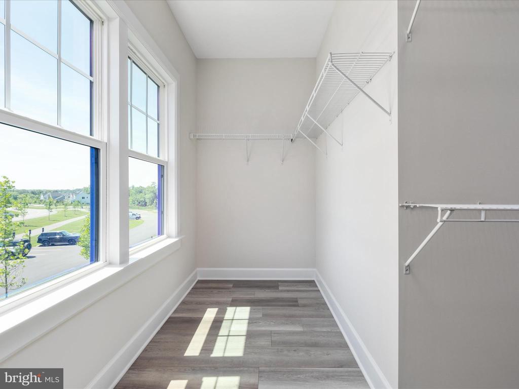 23299 Lansing Woods Ln