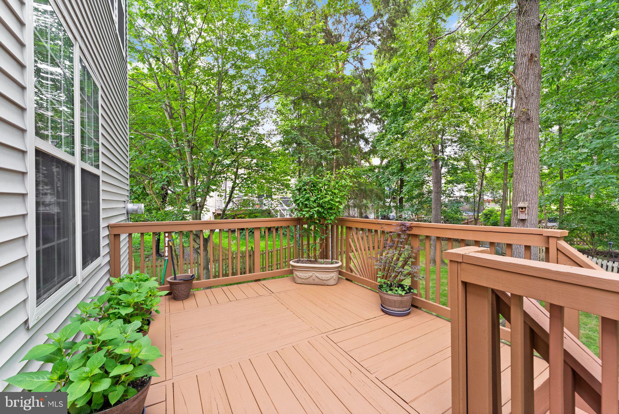 26172 Rachel Hill Dr