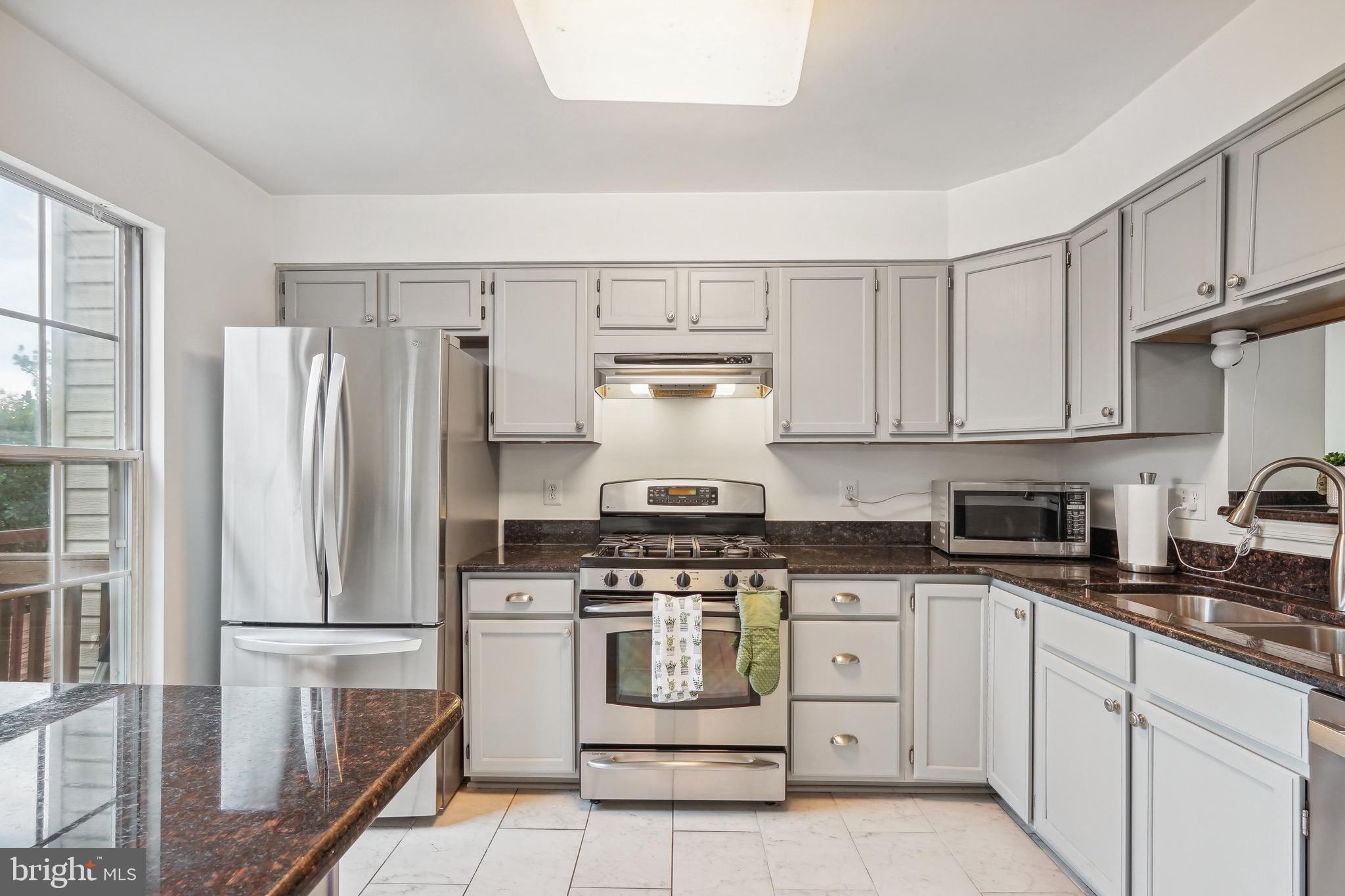 21002 Lemon Springs Ter