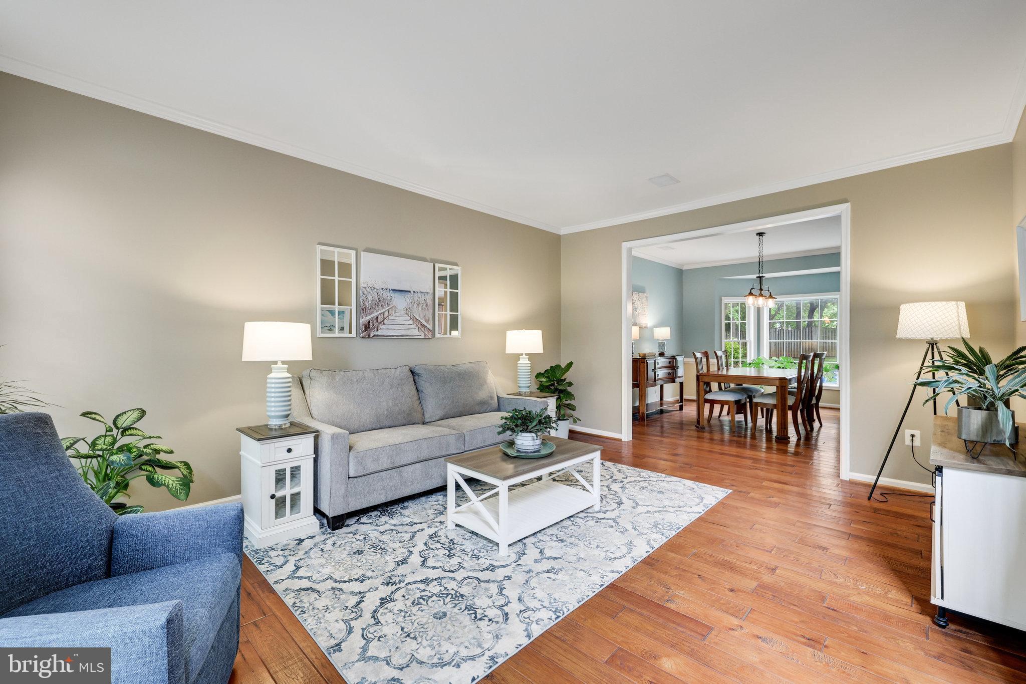 21317 Cameron Hunt Pl