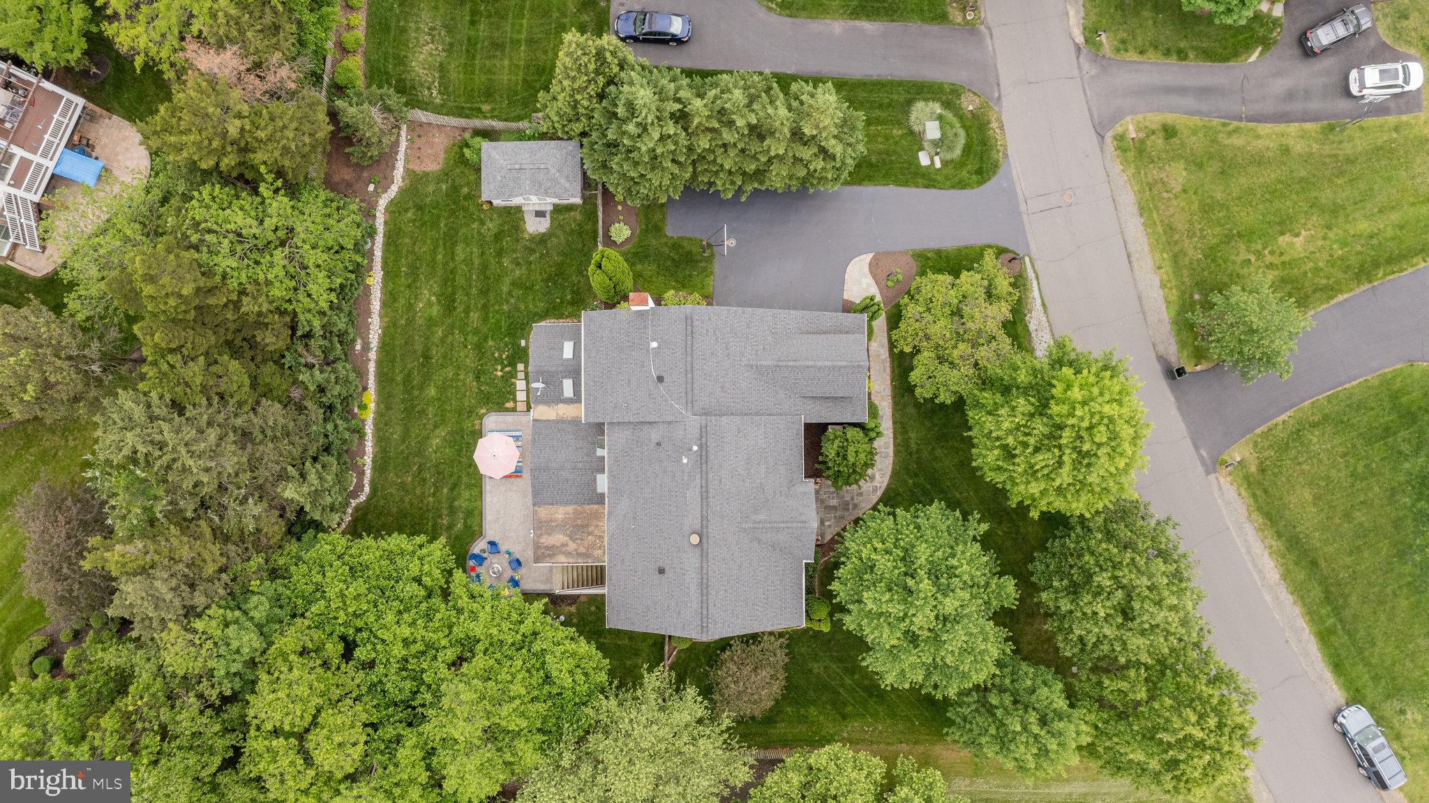21317 Cameron Hunt Pl