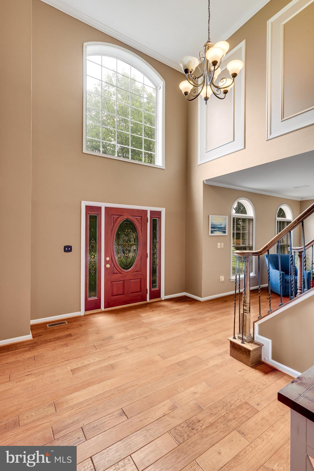 21317 Cameron Hunt Pl