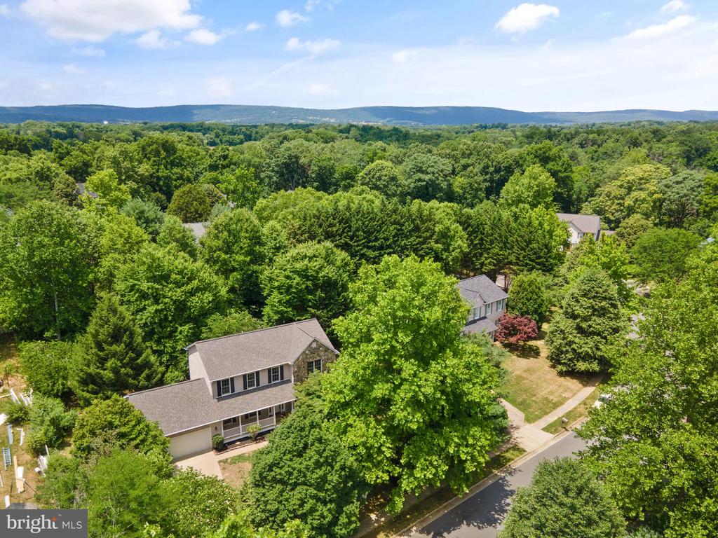405 Heronwood Ct