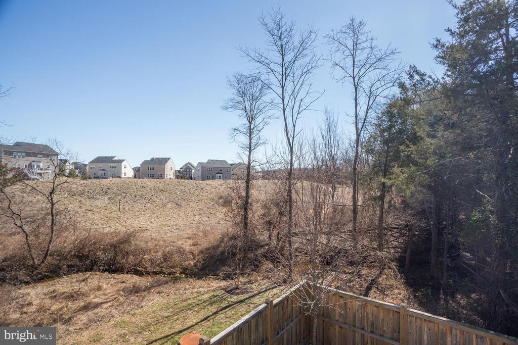 23435 EVENING PRIMROSE SQ