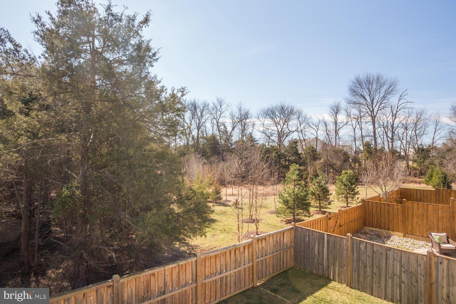 23435 EVENING PRIMROSE SQ