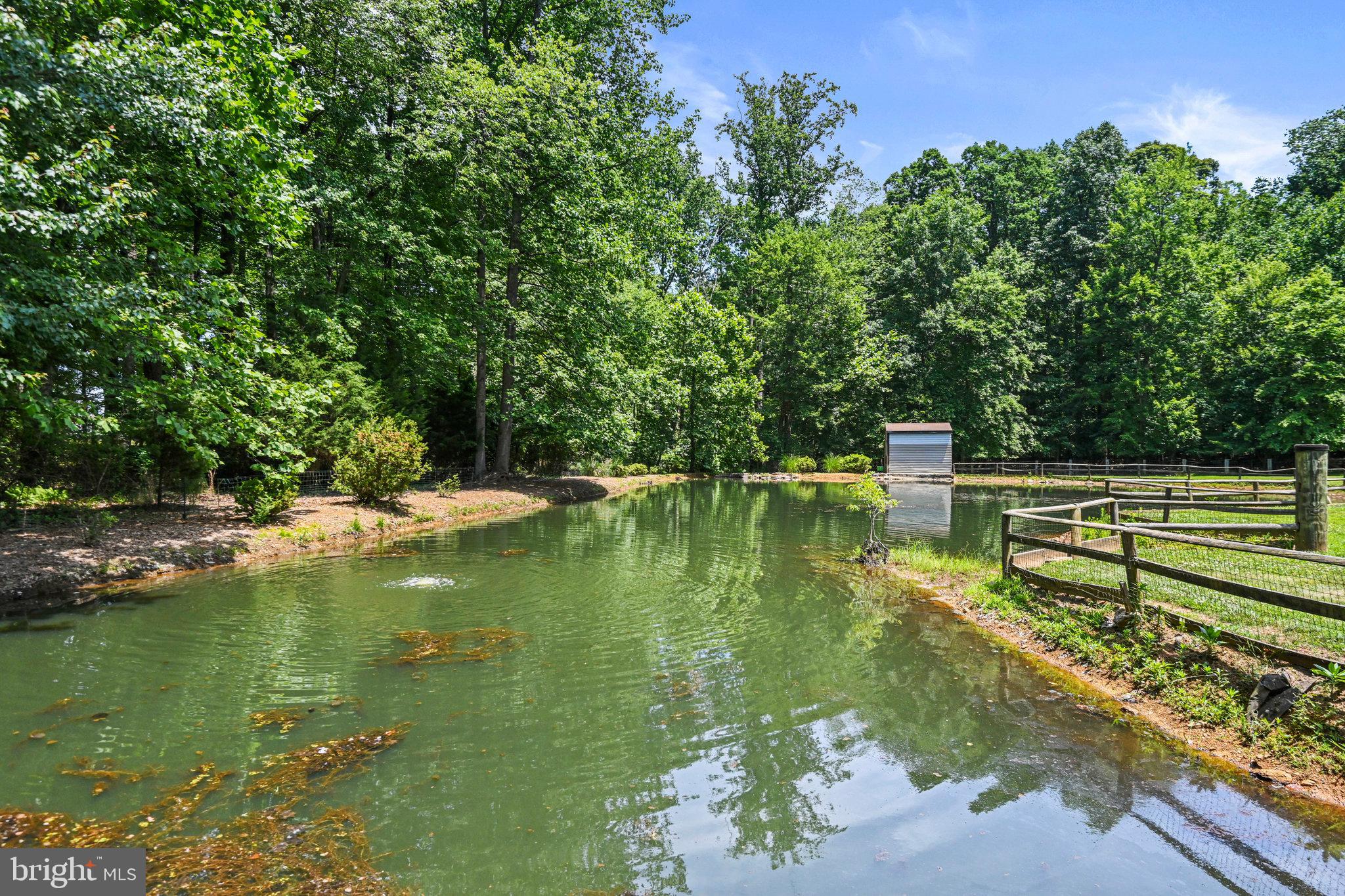23786 NEW MOUNTAIN RD