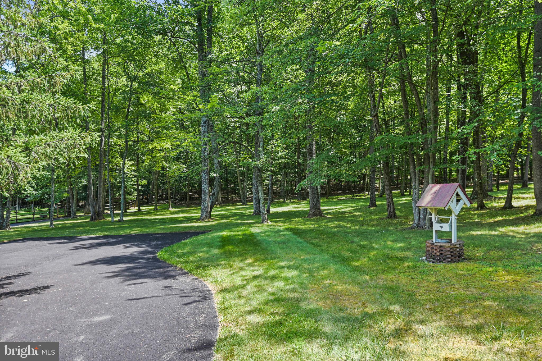 23786 NEW MOUNTAIN RD