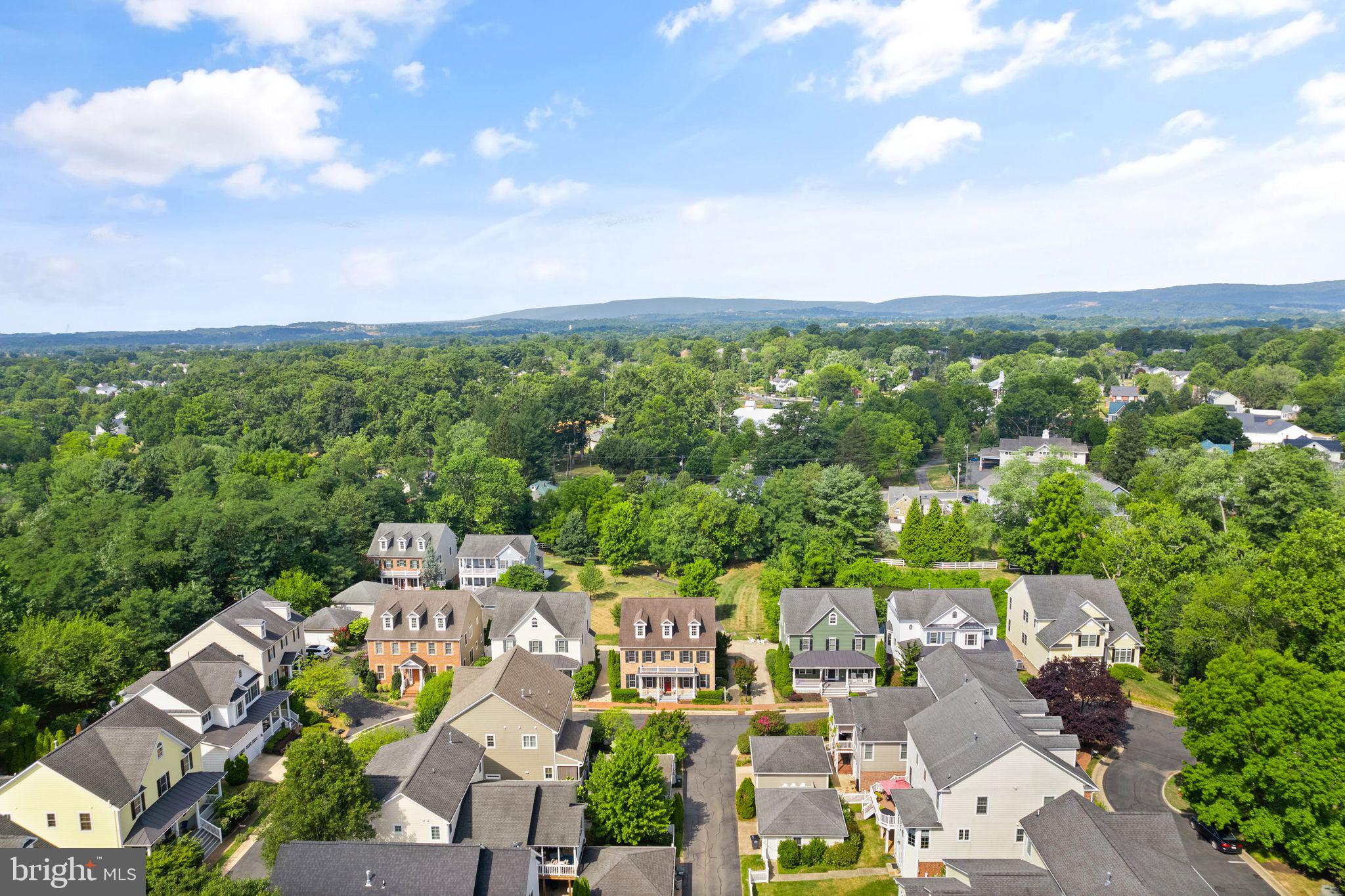 113 Amalfi Ct
