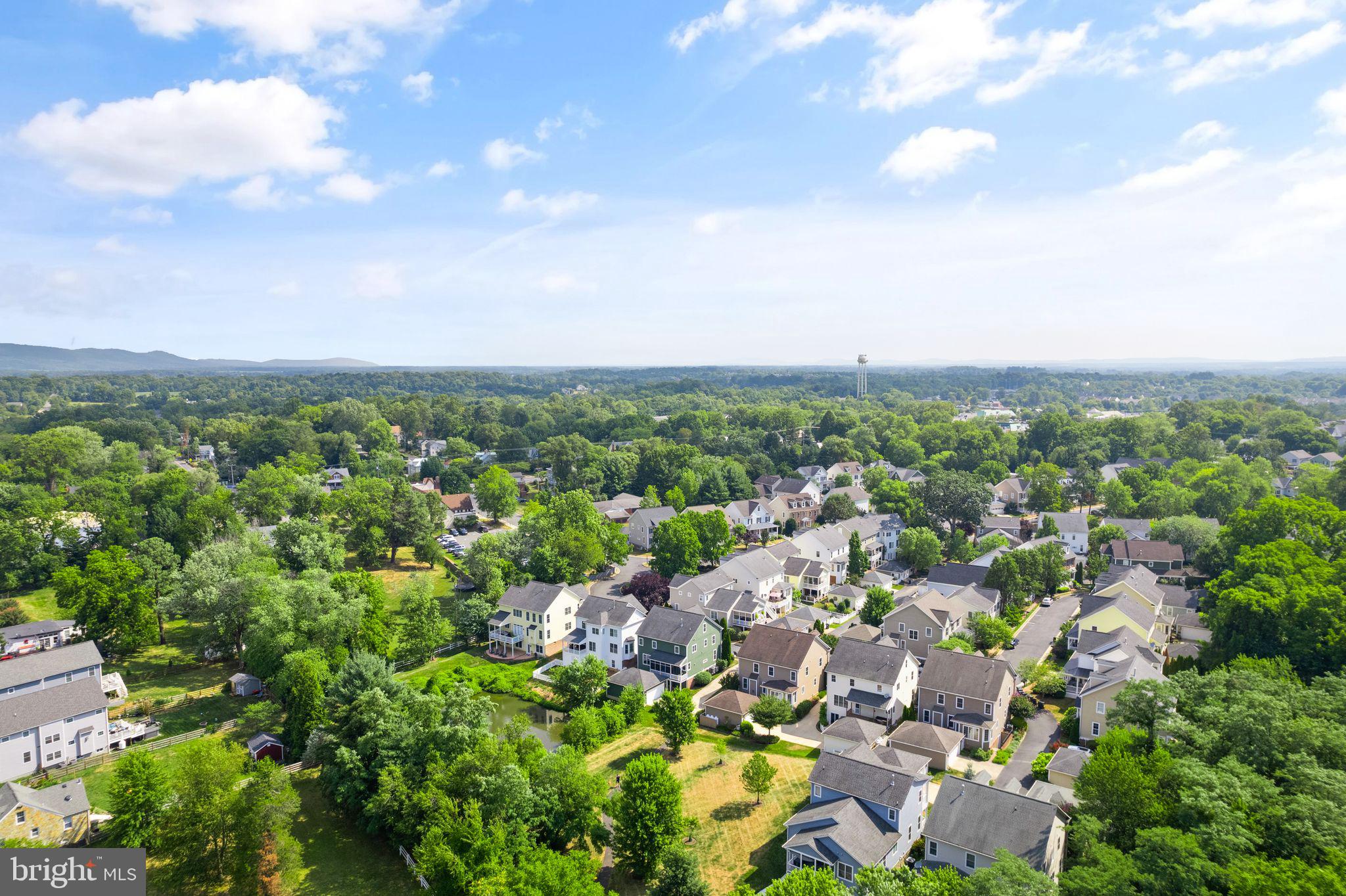 113 Amalfi Ct