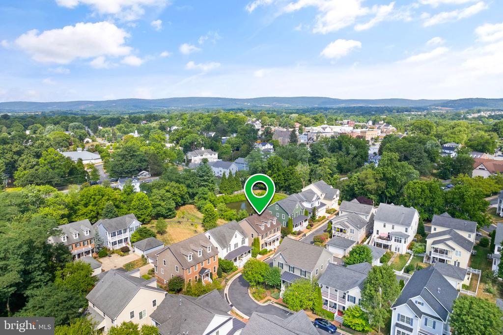 113 Amalfi Ct