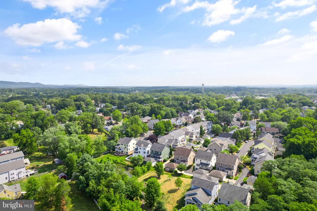 113 Amalfi Ct