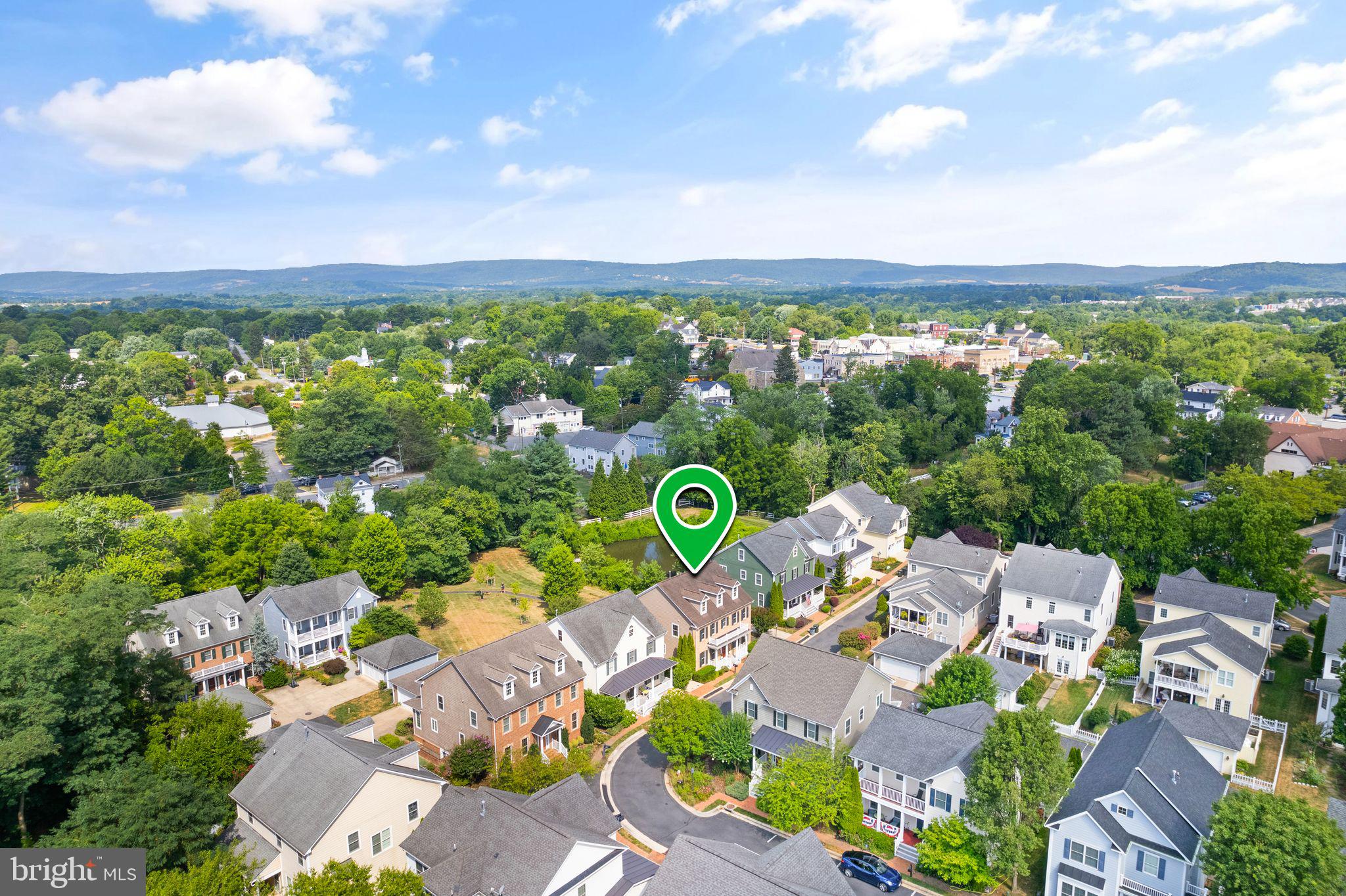 113 Amalfi Ct