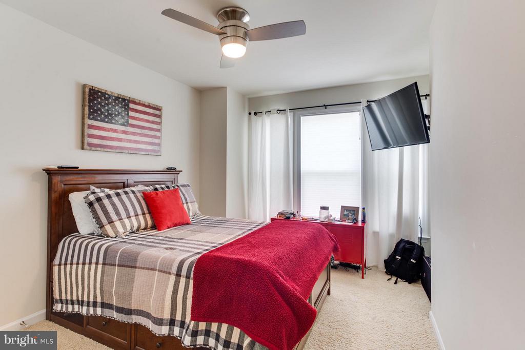 42675 NEW DAWN TER