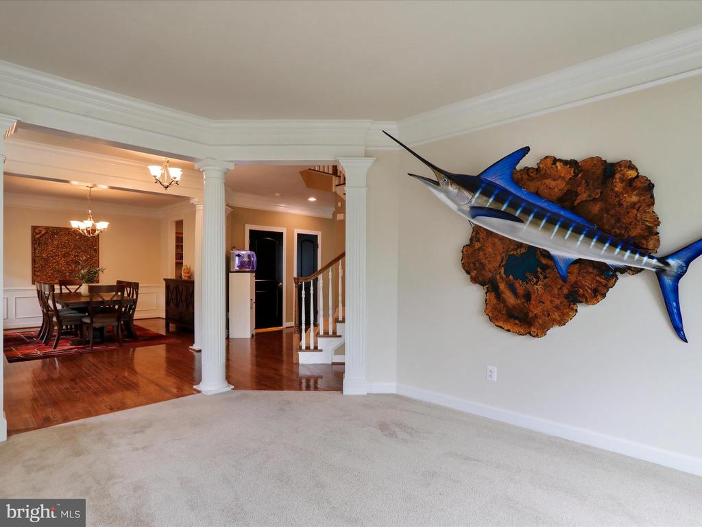 40594 Banshee Dr