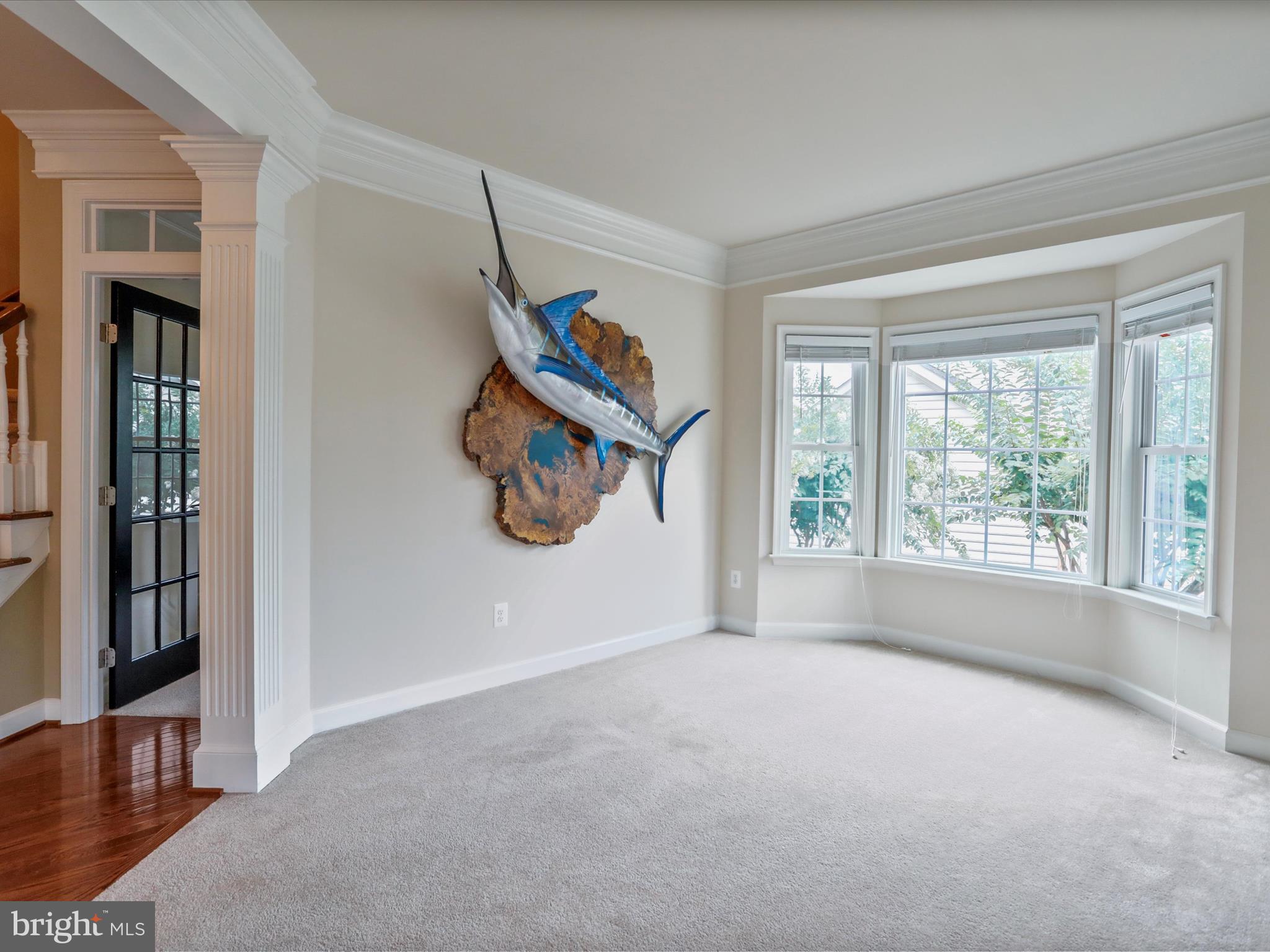 40594 Banshee Dr
