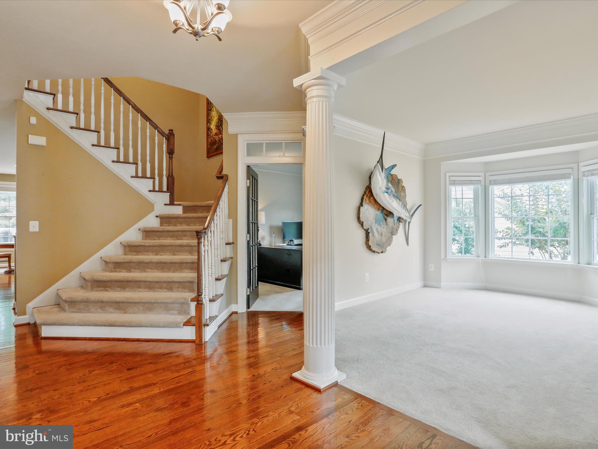 40594 Banshee Dr