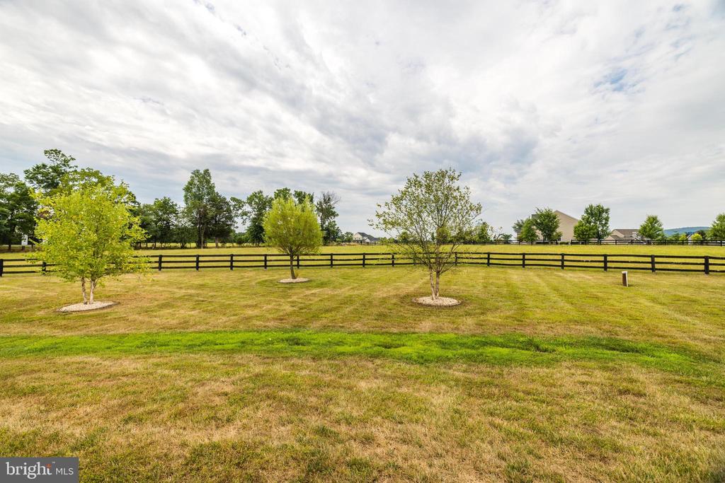 12015 George Farm Dr