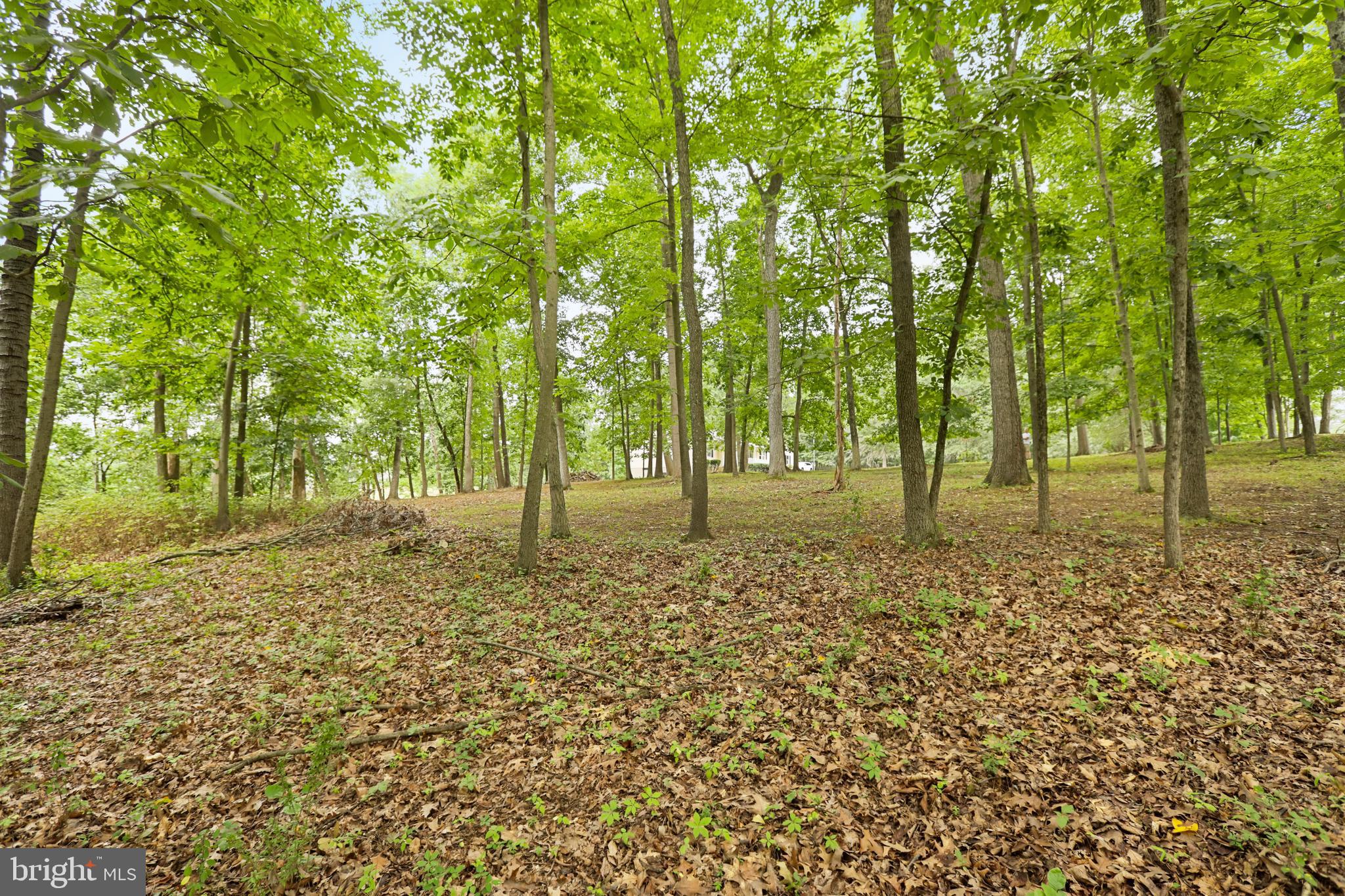 37671 Cooksville Rd