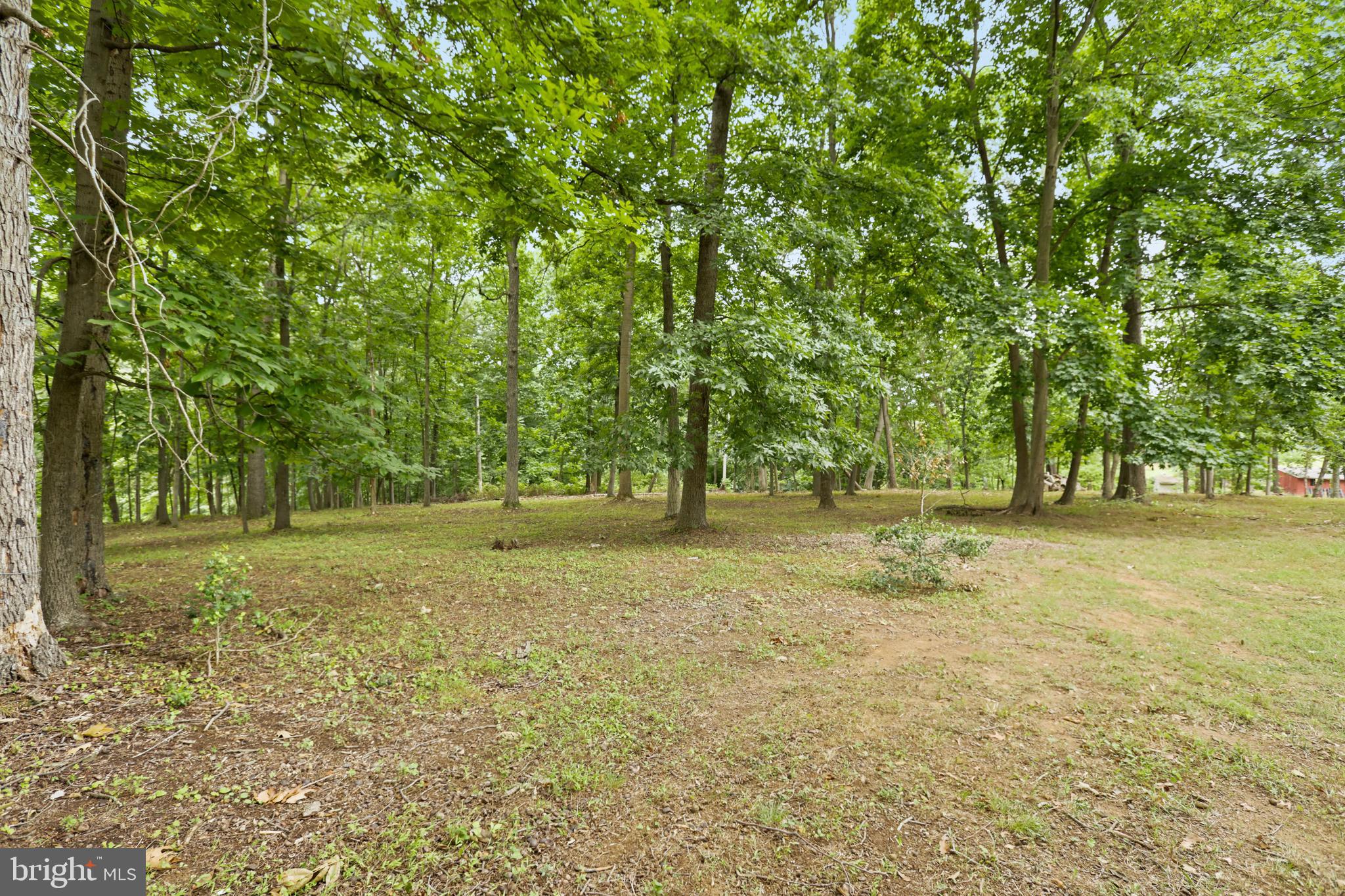37671 Cooksville Rd
