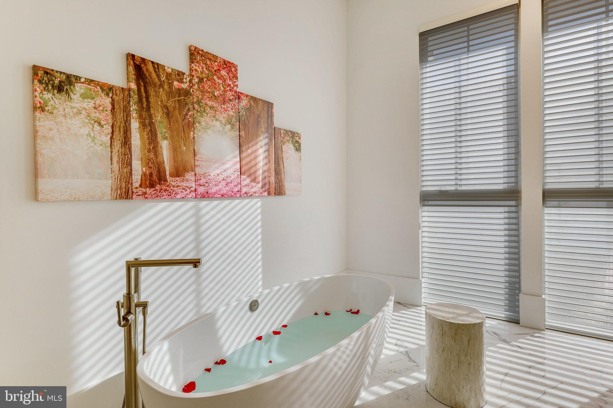 40887 Blue Star Ct