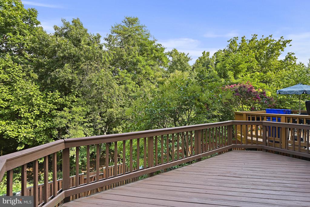 46816 Lawnes Creek Ter
