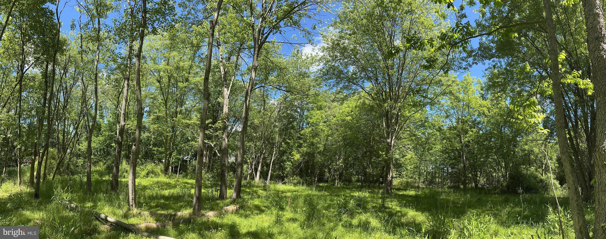 15 N Bridge St #Lot 9