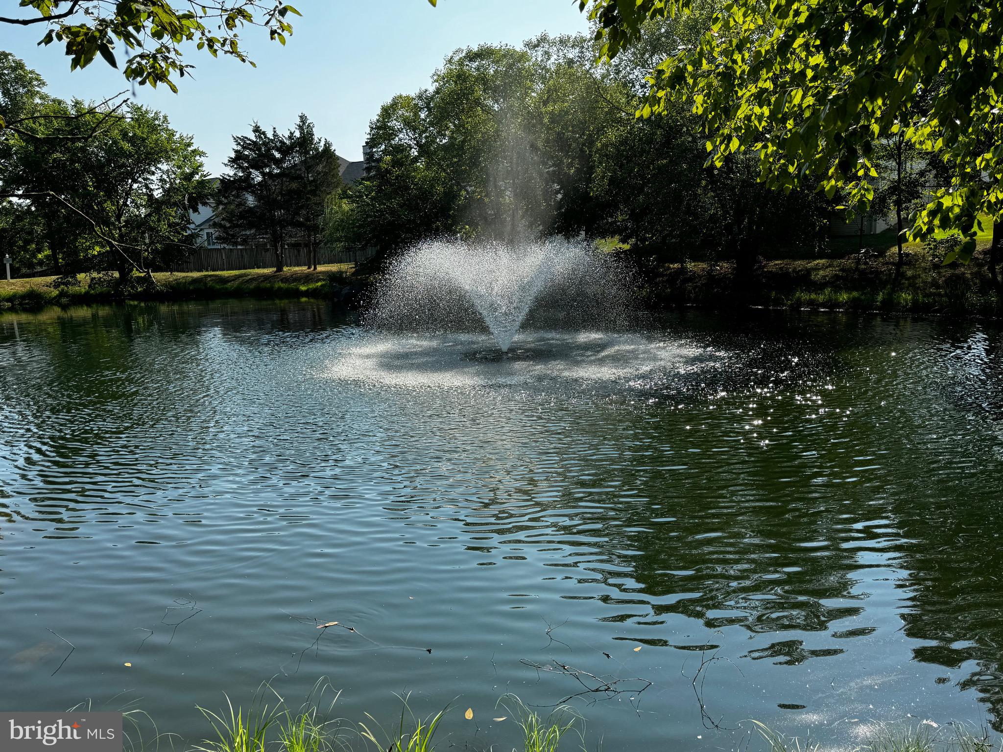 43464 Lucketts Bridge Cir