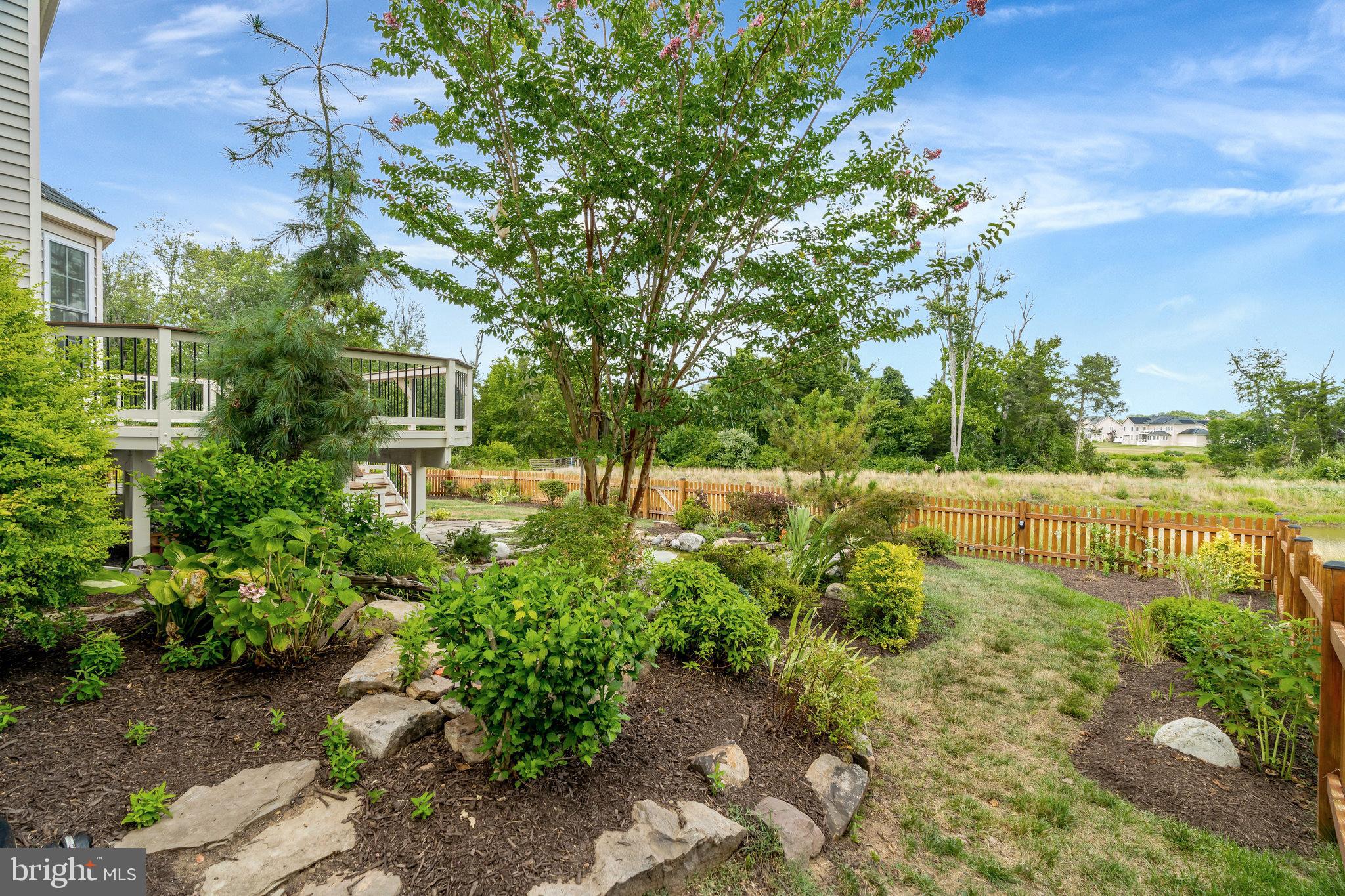 24414 Carolina Rose Cir