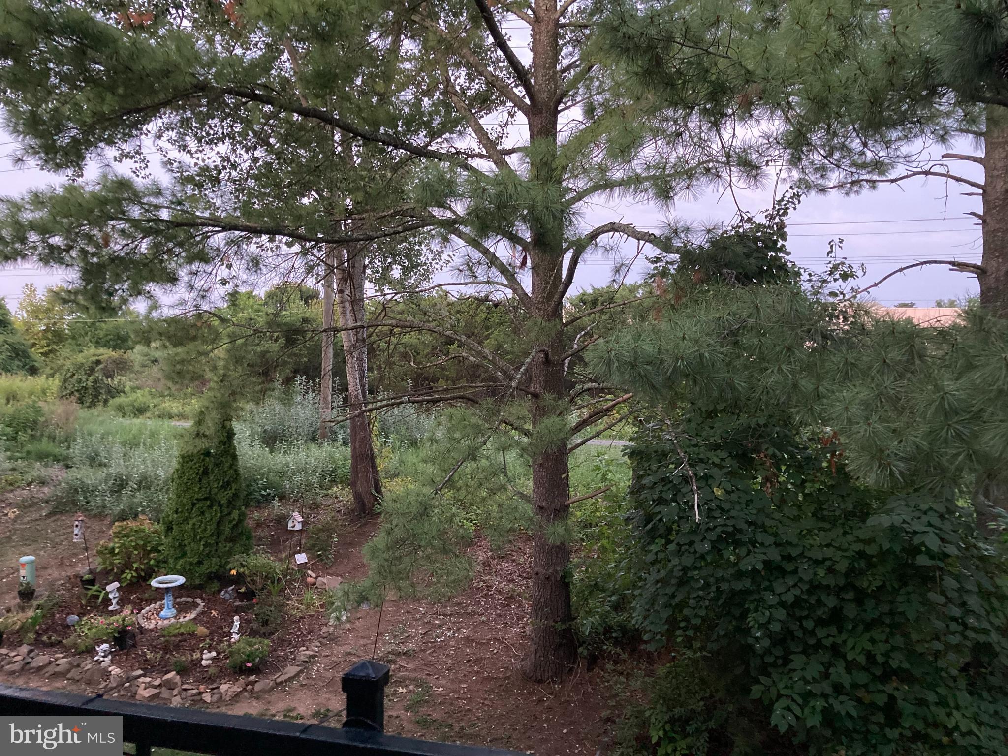 1031-C Margate Ct