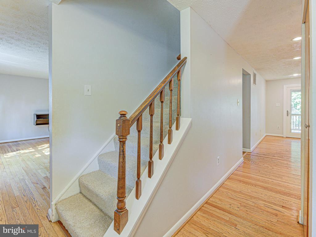 244 Silverleaf Dr
