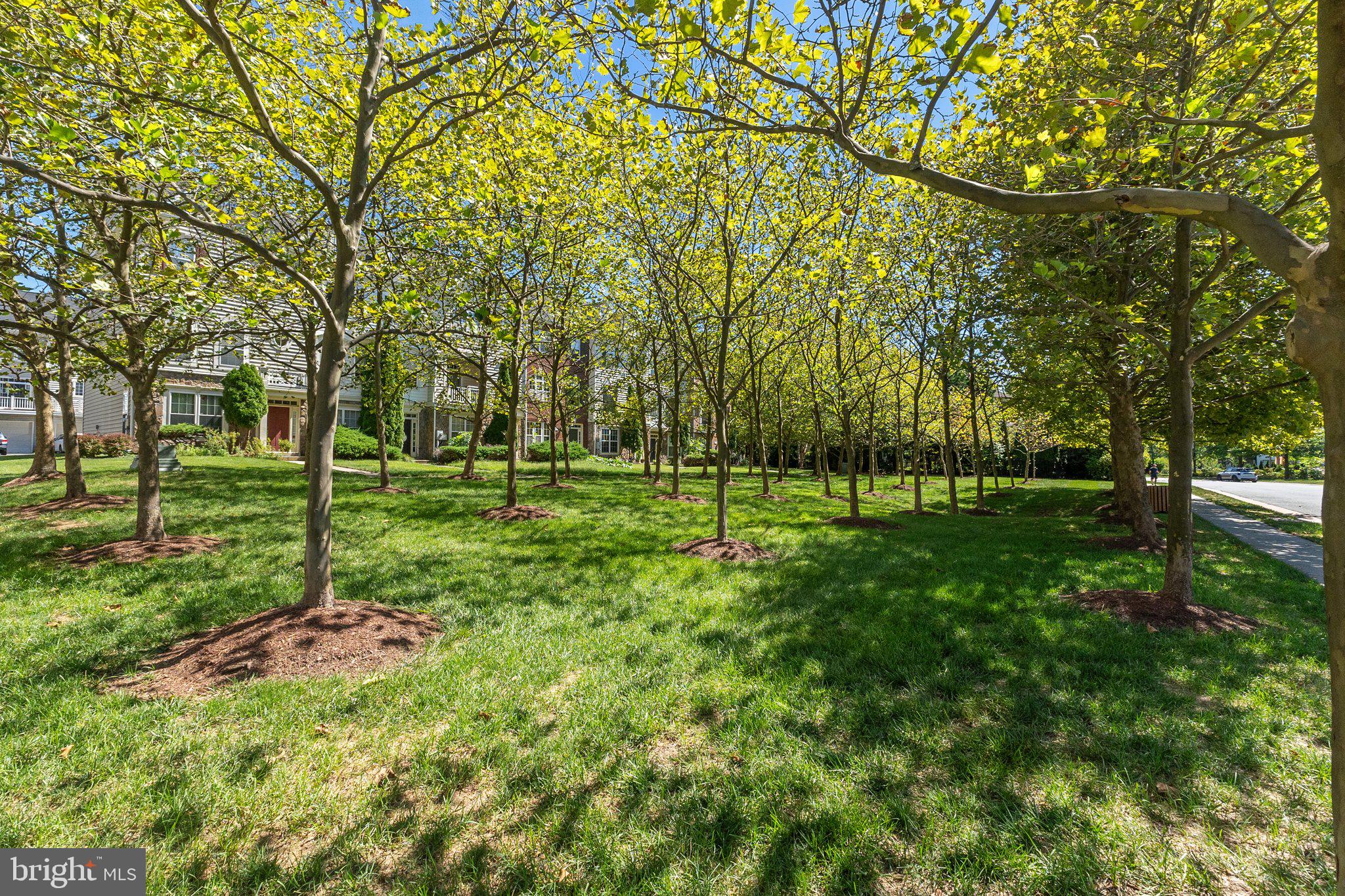 42407 Bowditch