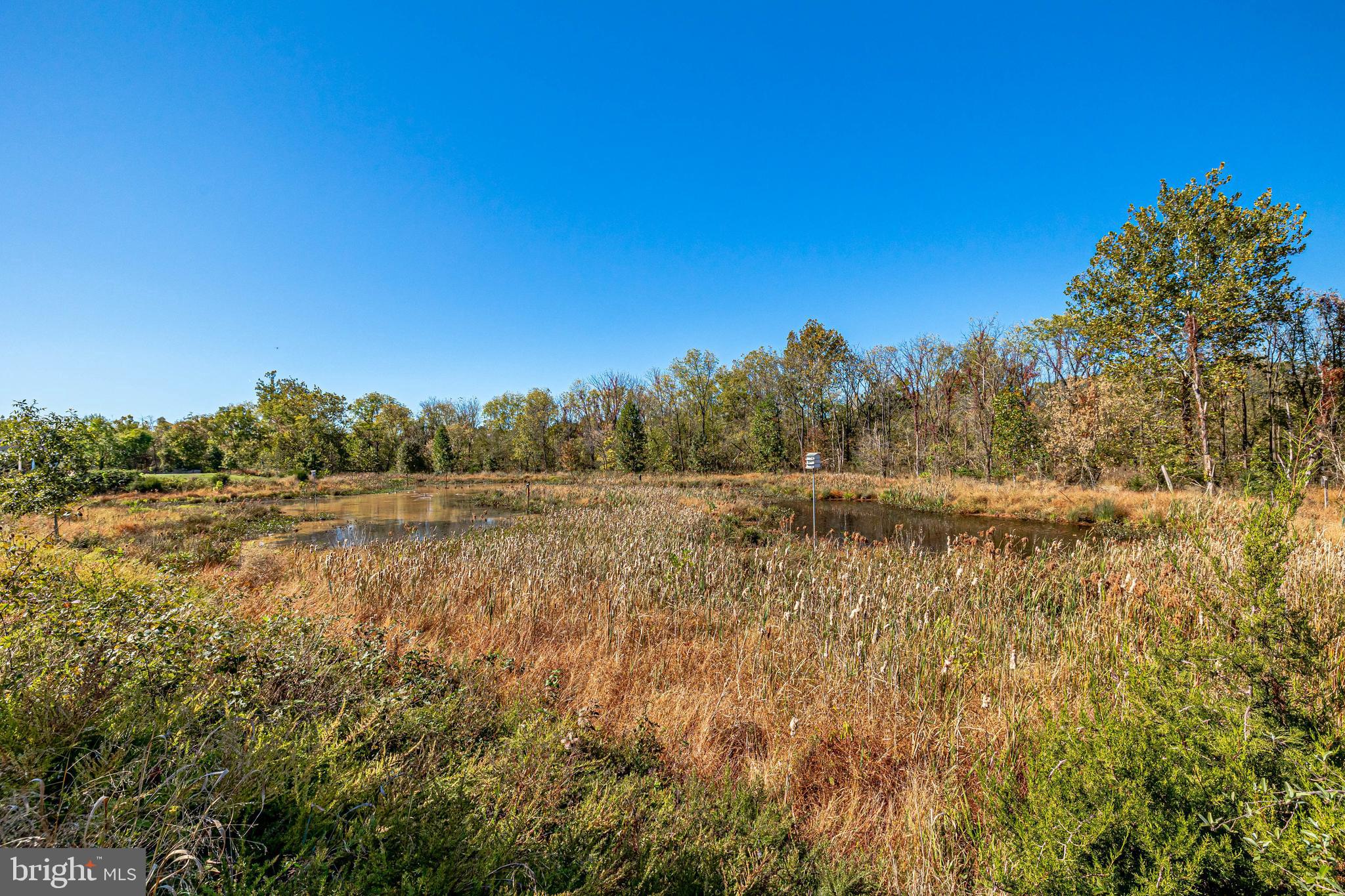 44362 Stoneyrun Pl