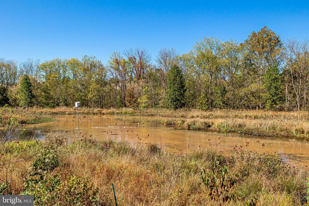 44362 Stoneyrun Pl