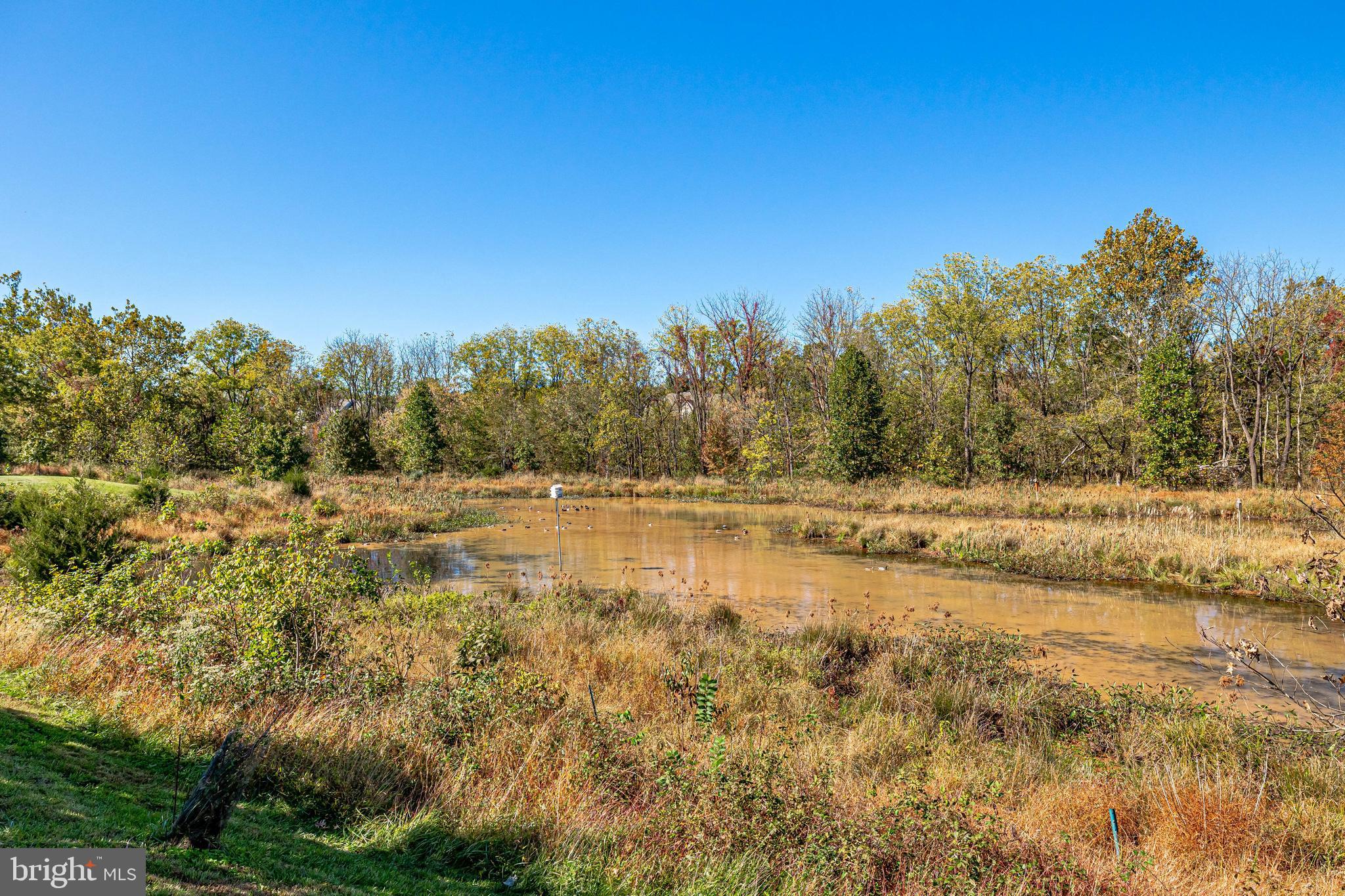 44362 Stoneyrun Pl