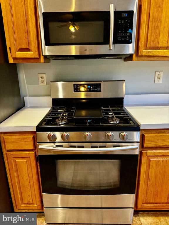 20878 BUTTERWOOD FALLS TER