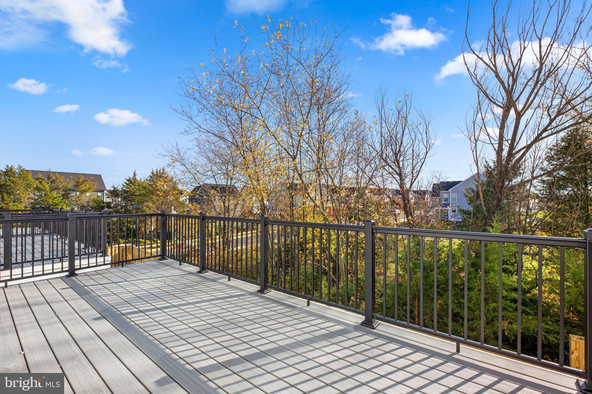 42175 Berrier Farms Ter