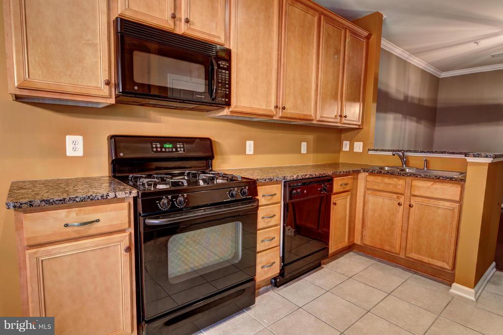 43865 HICKORY CORNER TER #103