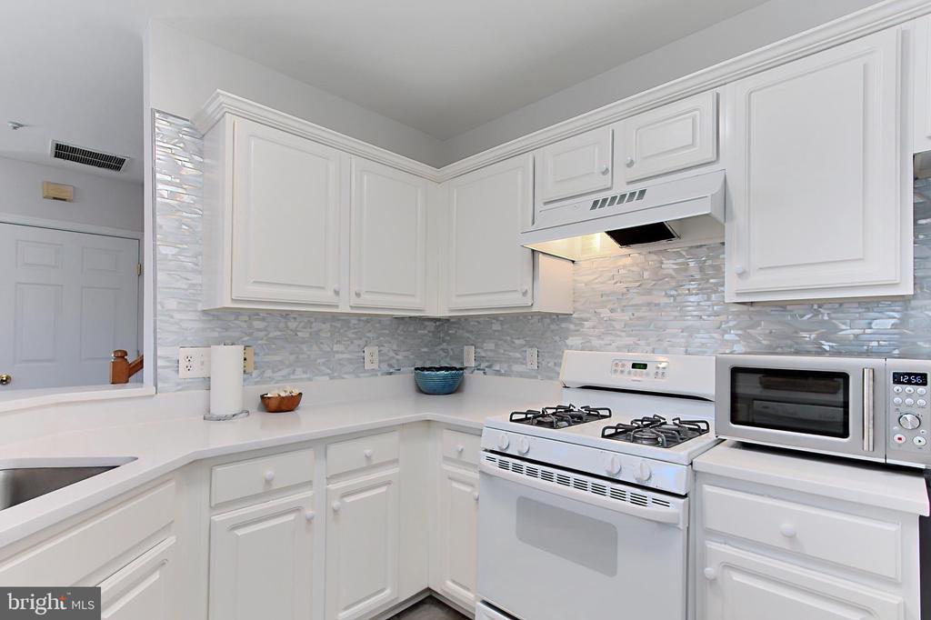 21830 Elkins Ter #301