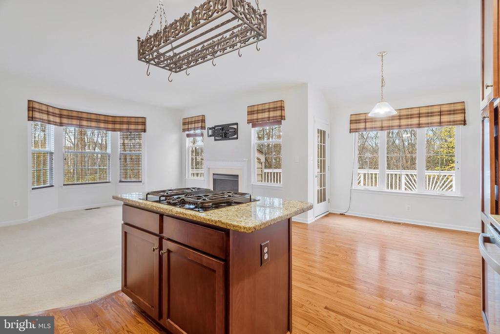 20093 Northville Hills Ter