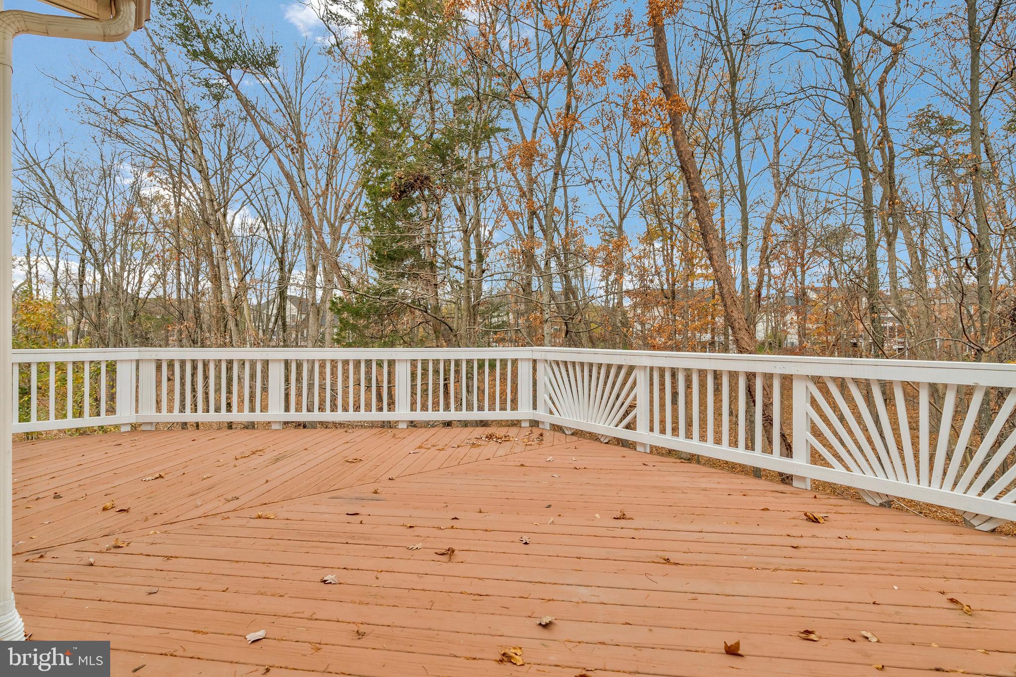 20093 Northville Hills Ter