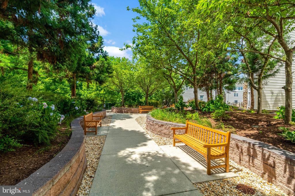 24701 Byrne Meadow Sq #403