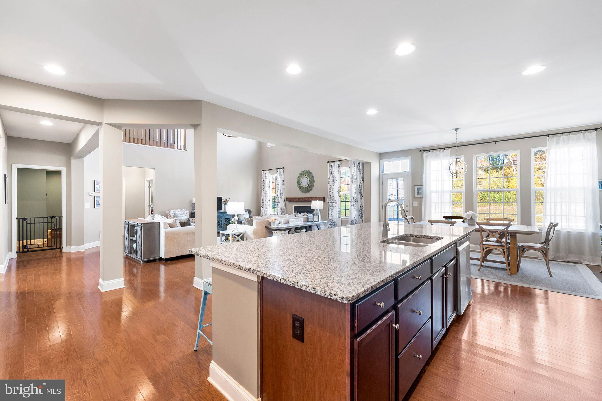 24481 Island Pool Ct