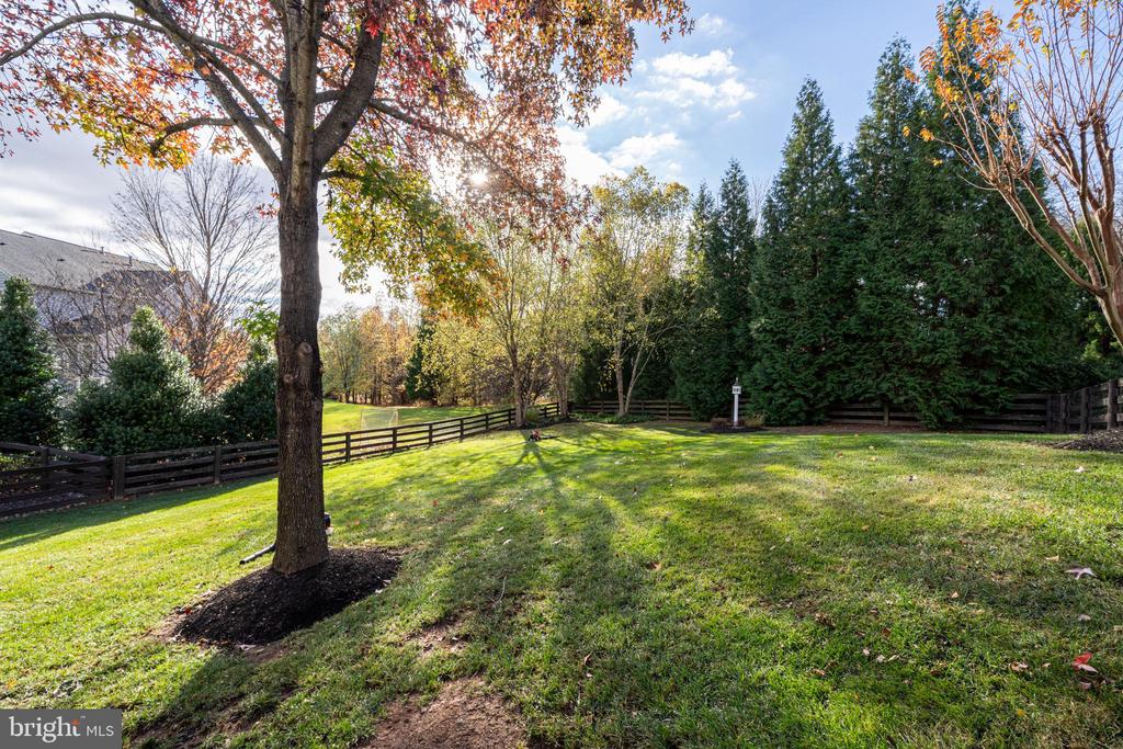 24286 Walnut Hill Pl